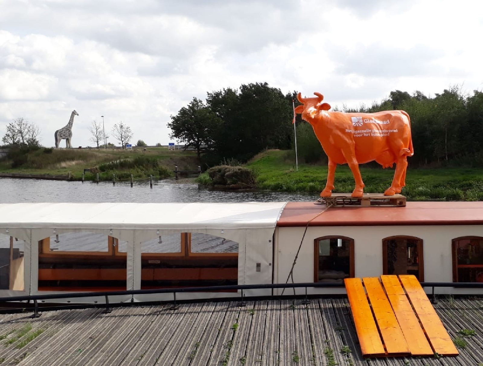 Afbeelding van plastic koe op boot
